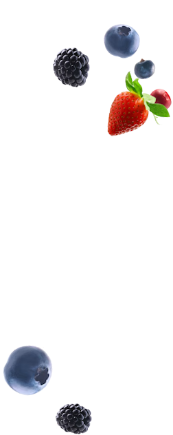 owoce1