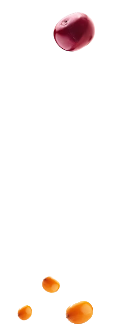 owoce2